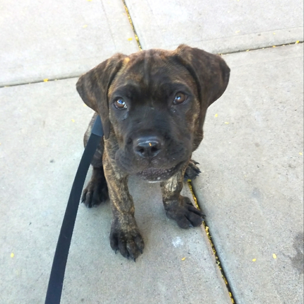 Meet your Posher, Christina